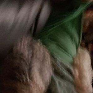 Meet your Posher, William